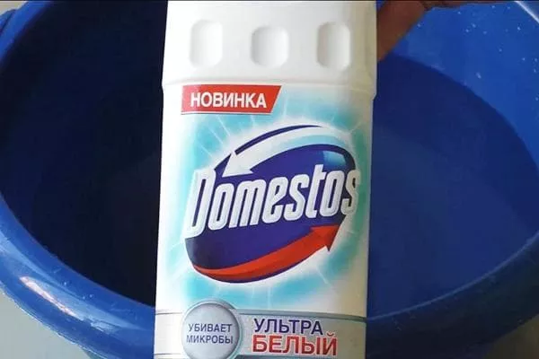 Kako z Domestosom odstraniti madeže na oblačilih: odstraniti sledi maščobe, znoja, krvi, sadja, vina, trave