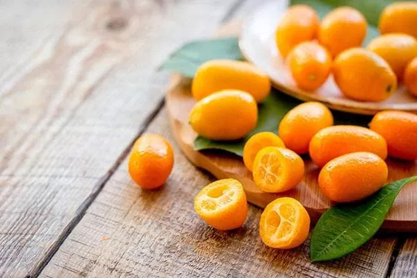 Kumquat - kakvo je to voće, njegove koristi i štete za tijelo, kako se pravilno hraniti i kako uzgajati, zašto postoje različite boje