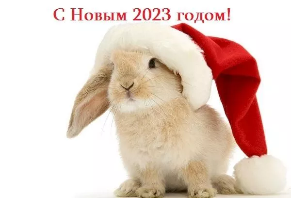Как красиво да украсим коледната елха за Новата година на Заека 2023 – 7 идеи в различни стилове