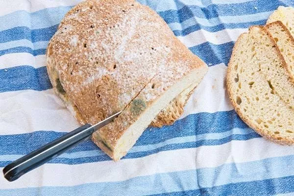 Može li se jesti pljesniv kruh, dati ga pticama i što će se dogoditi ako odrežete pokvareni dio