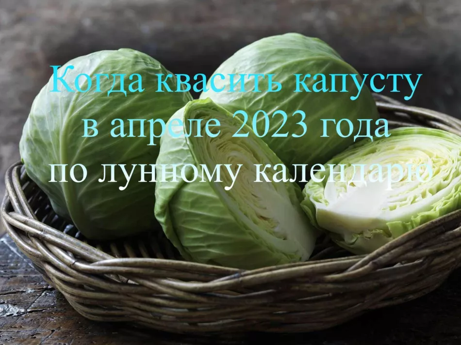 Кога да осолявате зеле през април 2023 г., благоприятни дни според лунния календар и астрологични прогнози, тайните на вкусно ястие