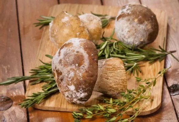 Kako zamrznuti gljive za zimu u zamrzivaču kako bi se sačuvala aroma i okus - tajne strasnog berača gljiva