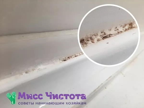 Neočekivani uzroci plijesni i plijesni u kupaonici - sve je jednostavnije nego što mislite