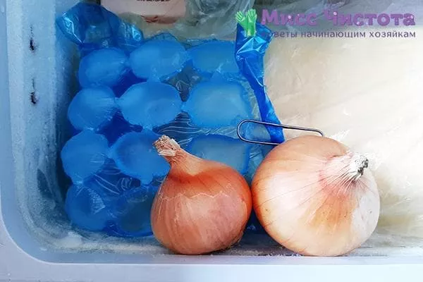 Zašto staviti luk u zamrzivač i je li moguće zamrznuti luk