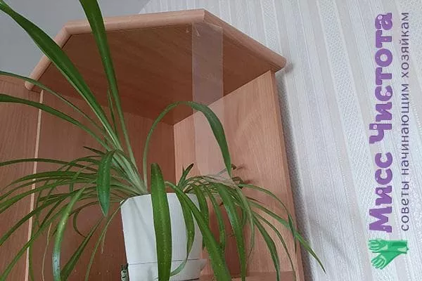 Kako upotrijebiti traku za provjeru čistoće zraka kod kuće - saznajte što zapravo udišete