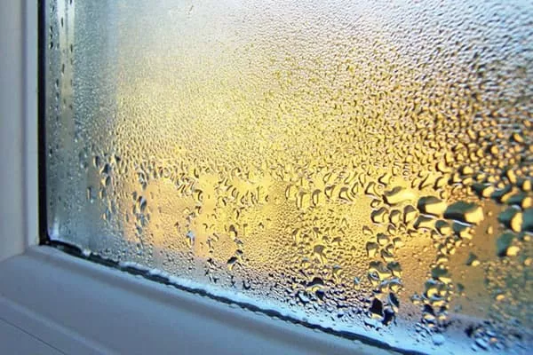 Glicerin od rosenja oken v hiši: kako se z njim znebiti kondenza