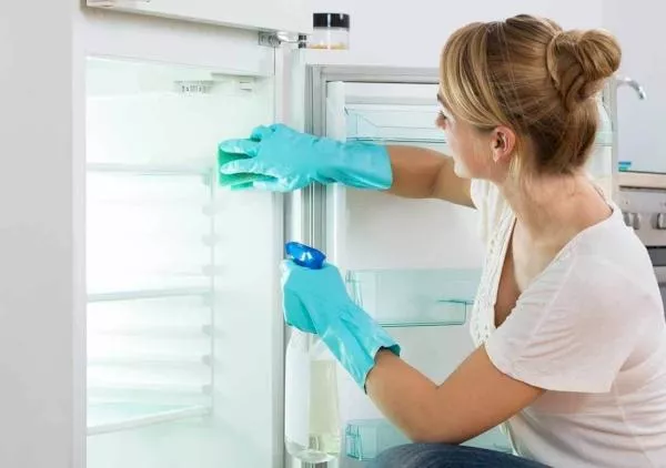 Kako oprati hladnjak iznutra nakon odmrzavanja: najbolji lijekovi u trgovini i kod kuće